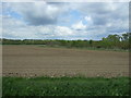 Field near Lower Barn Farm