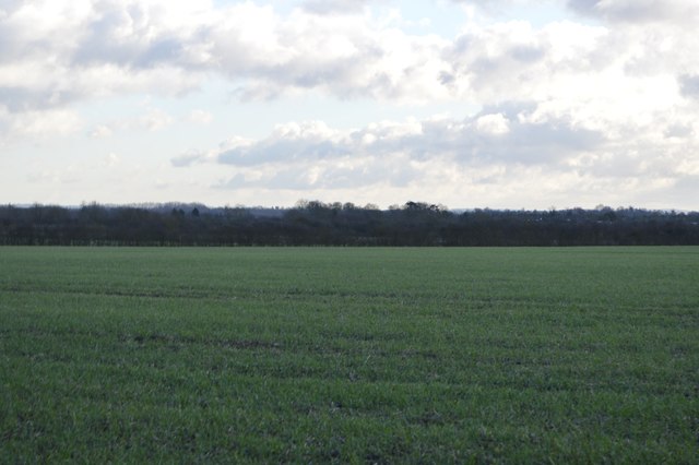 Field by Harcamlow Way