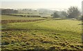 SE2548 : Fields southeast of Stainburn by Derek Harper