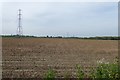 Farmland and pylons