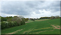 Hillside crop field near Brantham