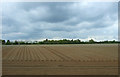 Furrowed field near Redbury Farm