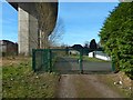 Path under the Erskine Bridge