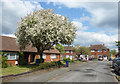 Maple Close, High Wycombe