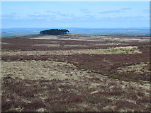 NY8652 : Moorland northwest of Sinderhope Carrs by Mike Quinn