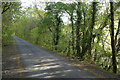 Cycleway above the River Plym