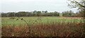 TM2660 : Field and boundary, Kettleburgh by Derek Harper