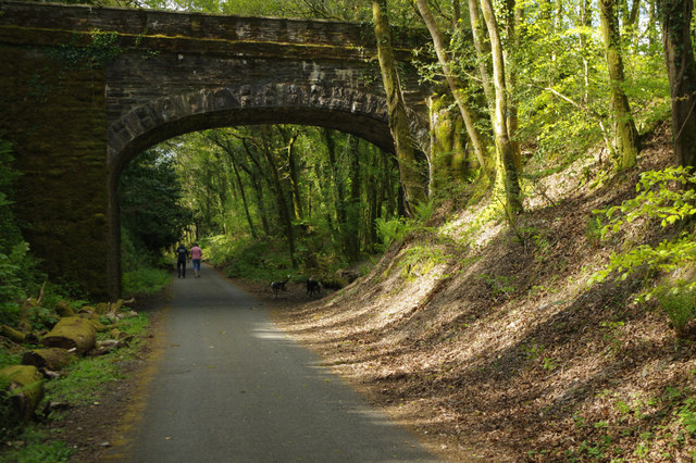 Cycleway through the Plym Valley