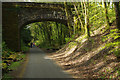 Cycleway through the Plym Valley