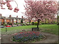 Spring in Westwood Recreation Ground, Leek