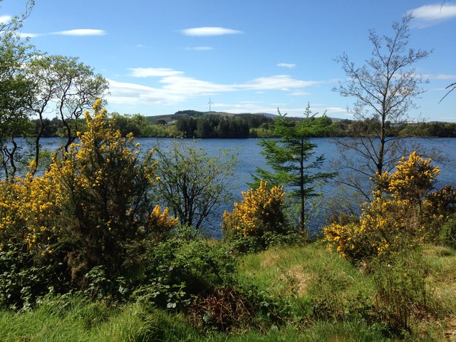 Sunny at Loughmacrory