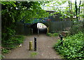 Path under the Leicester-Birmingham railway line