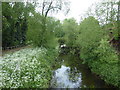 Cripsey Brook at Chipping Ongar