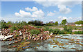 Brown field site near Graiseley, Wolverhampton