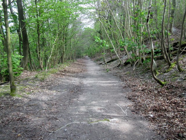 Woods managed by the Steyning Downland Scheme