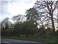 The A12 near Melton