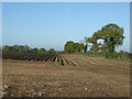 Furrowed field off Colchester Road