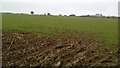 Footpath near Ugthorpe Grange