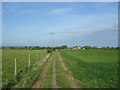 Farm track near Wivenhoe