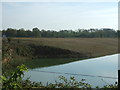 Flooded gravel pit east of Wivenhoe