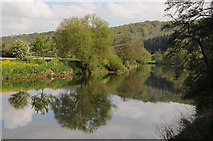 SO6129 : The River Wye below Lyndor Wood by Philip Halling
