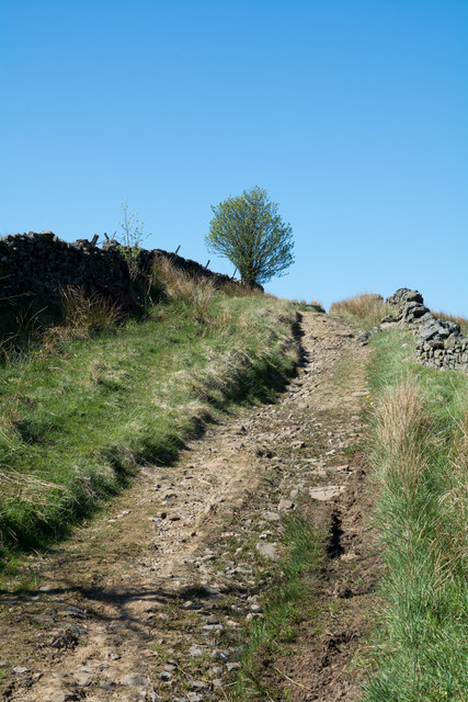 Rough hill road rising towards Thatch Mires