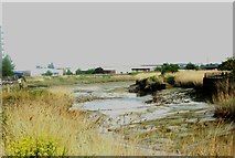 TQ4383 : View across the Roding from Hand Trough Creek by Robert Lamb