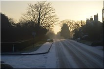 TA1970 : Jewison Lane in weak winter sunshine by N Chadwick