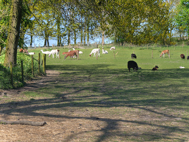 Pasture at Smithills Open Farm