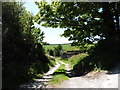 Track to the ponds, Trimstone