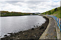 The River Tyne at St Anthony