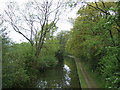 Stratford Canal near Cheedon Farm