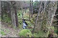 NM9608 : Alltan Beag trickles through Eredine Forest by Alan Reid