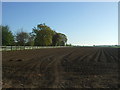 Furrowed field near Coppice Farm