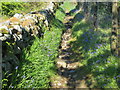 Footpath at Carn Brea