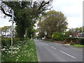 Norton Lane, Tidbury Green