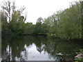 Pond off Priory Road