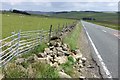 Fallen dry stone wall at Monkridge Hall