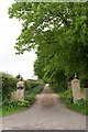 Leafy driveway to Riverslea Farm