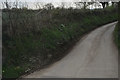 Cornwall : Country Lane