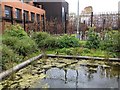 Netley Primary School, Garden pond