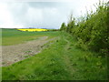 Footpath off Darlingscote Road