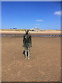 SJ3098 : Another Iron Man on Crosby Beach by David Dixon