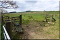 Rough pasture with cattle trough