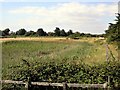 Mill Pond Marsh at Sidlesham Quay