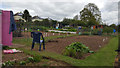 Cullompton : Allotments