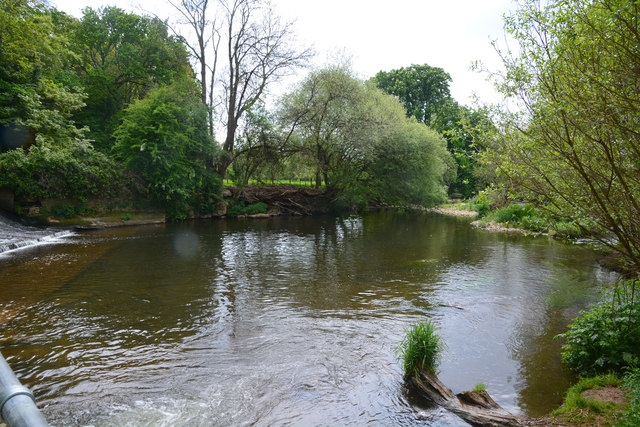 East Devon : River Otter © Lewis Clarke :: Geograph Britain and Ireland