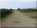 Mining Track to Wheal Charlotte