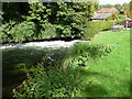 The River Itchen at Hockley Mill