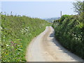 Hedge-lined road to the north of Sworn